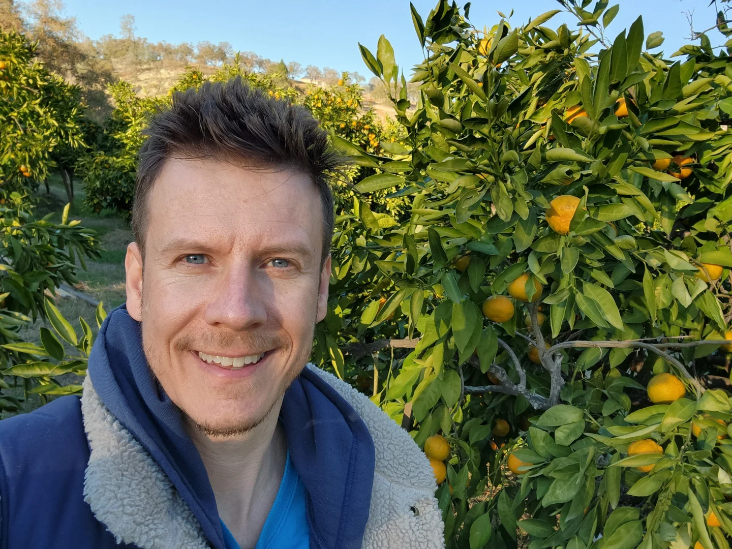 Andrew Tait visiting the mandarin grove at Ann’s Orchard in Lincoln, California
